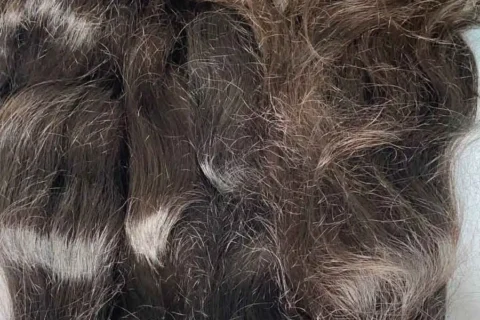 Why Tressiri Is a Leading Choice Among Raw Indian Hair Vendors Wholesale